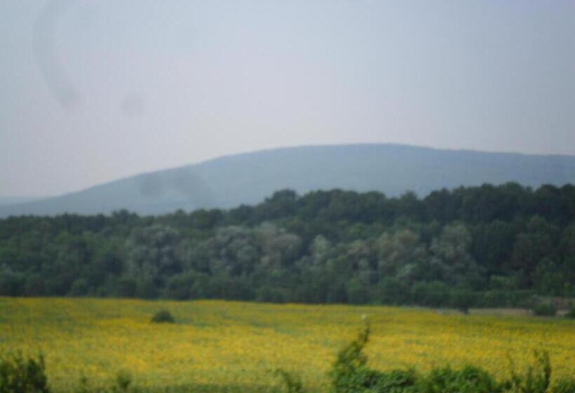 آپارتمان 1 خوابه, Ankor