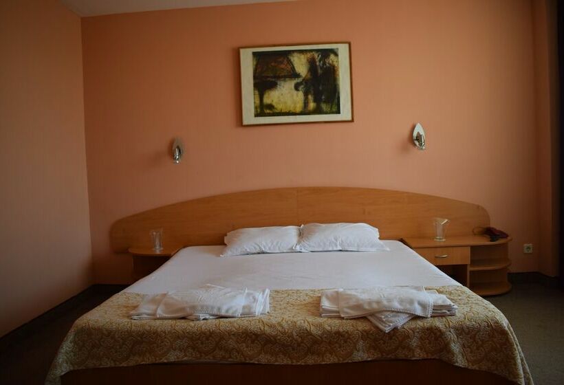 اتاق استاندارد, Balneo Hotel Gergana