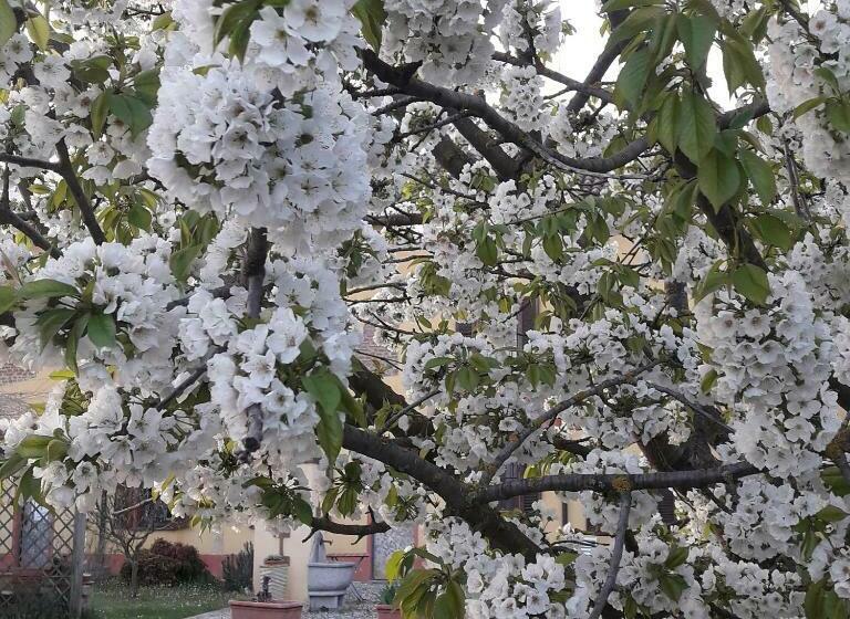 سوییت خانوادگی, B&b Il Pioppo E La Fonte