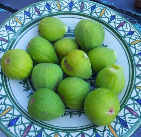 اتاق سوپریور چهار تخته, B&b Il Pioppo E La Fonte