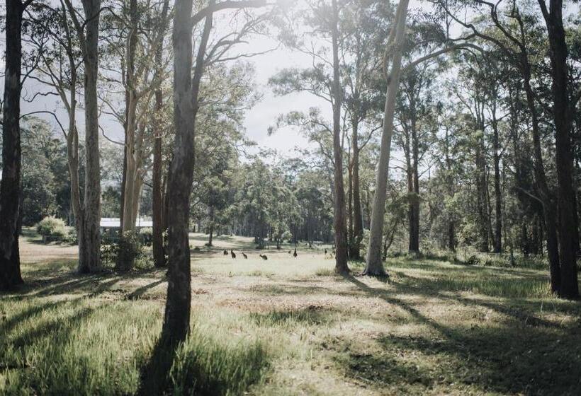 استودیوی استاندارد, Worrowing Jervis Bay