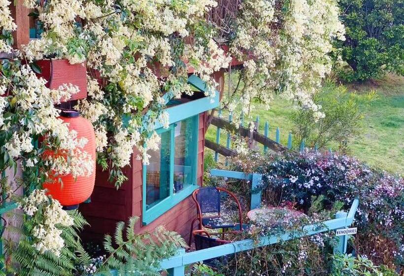اتاق استاندارد با وان آب گرم, The Goat And Goose Bed & Breakfast
