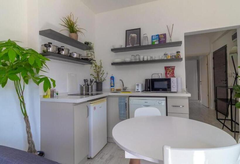 سوییت خانوادگی, Alex Suites Lara