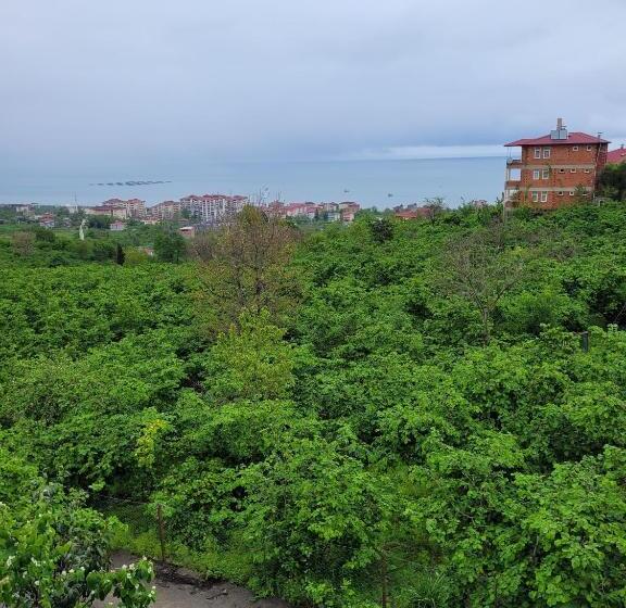 آپارتمان 1 خوابه با چشم‌انداز دریا, Meyra Apart