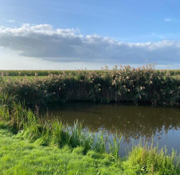 اتاق استاندارد با تراس, Slapen Bij De Stewardess B&b Almere