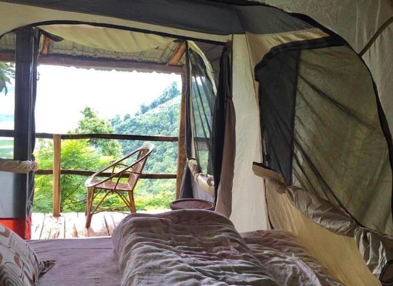 اتاق استاندارد یک نفره, Back To Nature