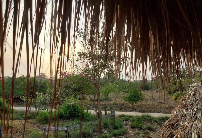 اتاق استاندارد, Hostel Nugeku