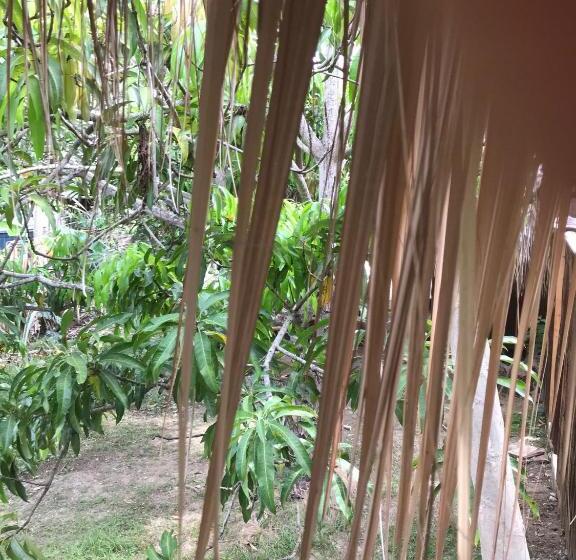 اتاق استاندارد, Hostel Nugeku