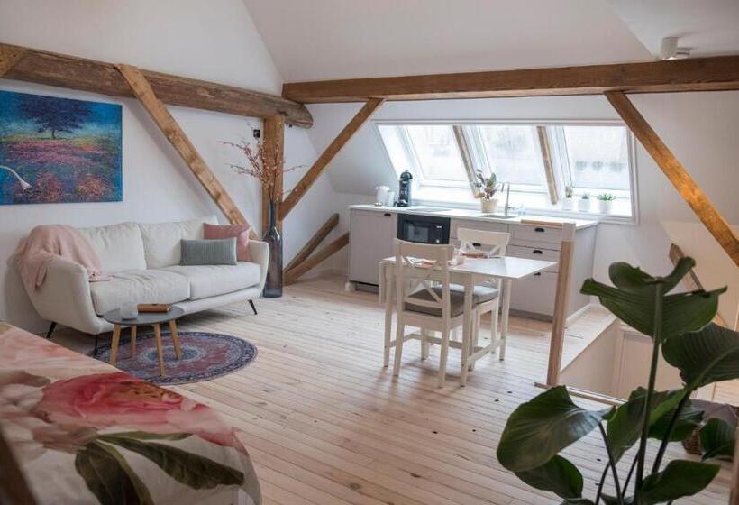 اتاق استاندارد, B&b Buurvrouw Buurman