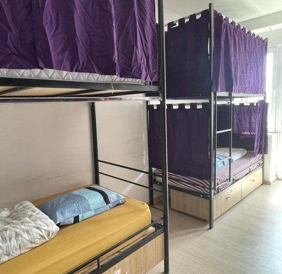تختخواب در اتاق مشترک, Newborn Comfort Hostel