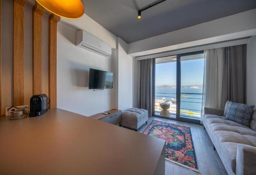 آپارتمان 1 خوابه با چشم‌انداز دریا, Argento Plazzo Family Apart