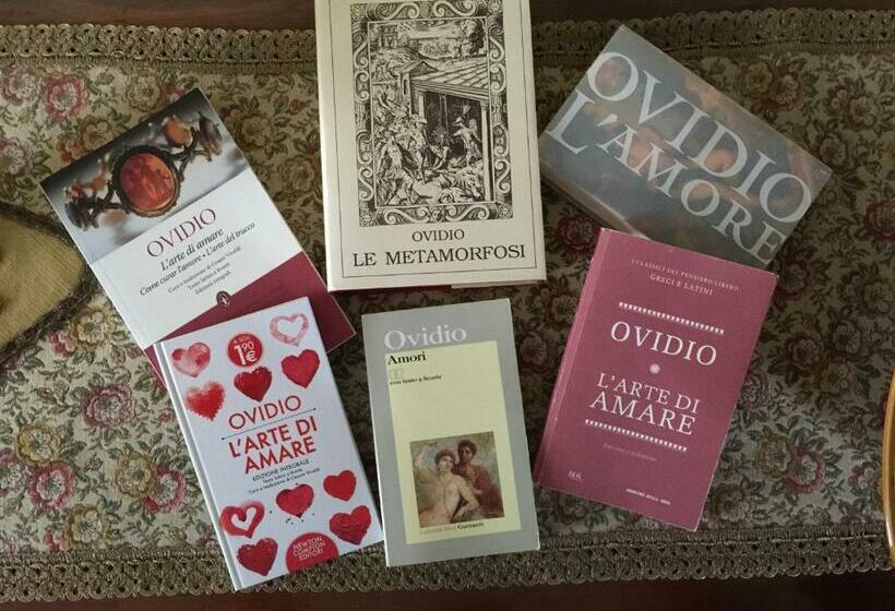 اتاق استاندارد, B&b Amores
