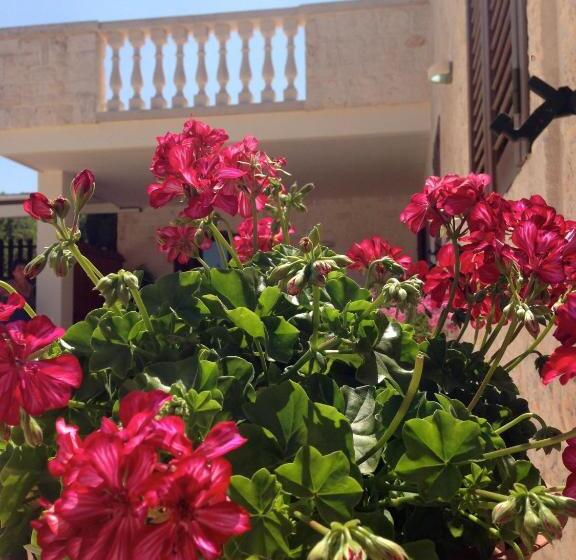 آپارتمان 1 خوابه, B&b Villa Grassi