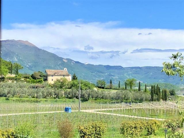 اتاق استاندارد, Cà Vettor