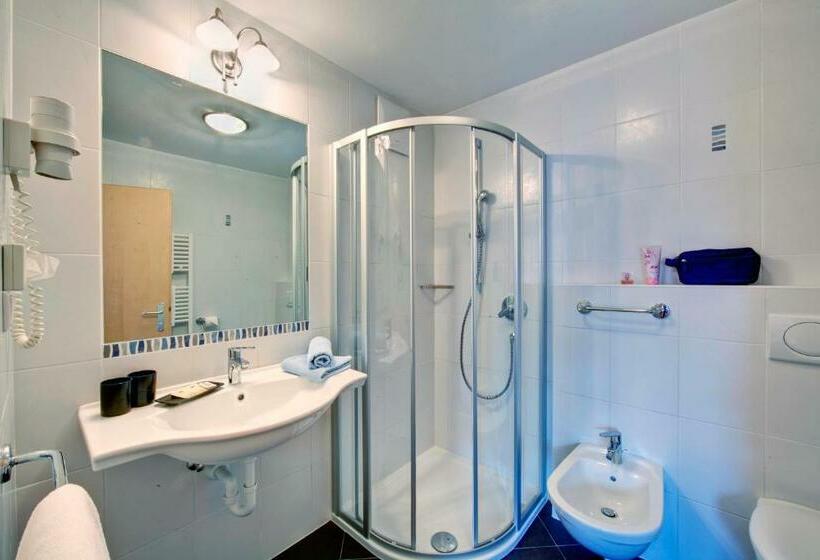 اتاق استاندارد یک نفره, Parkhotel Plauserhof