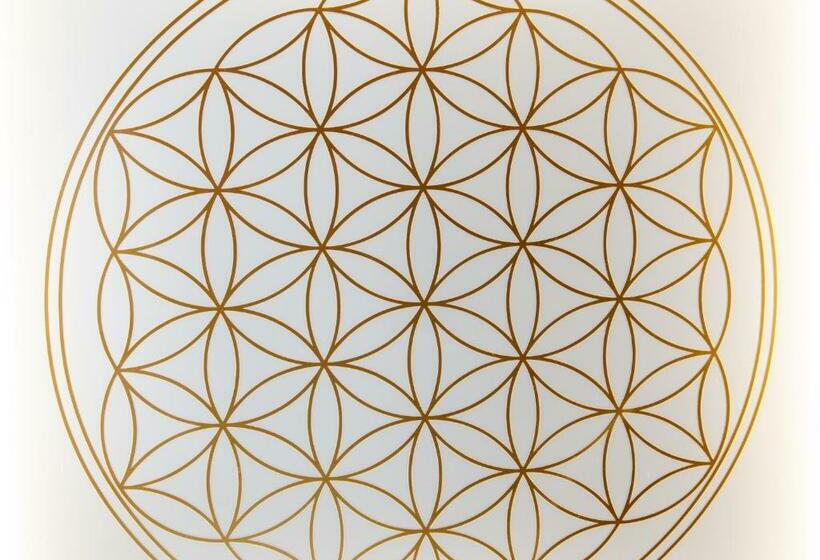اتاق استاندارد یک نفره, Pensione Veneranda