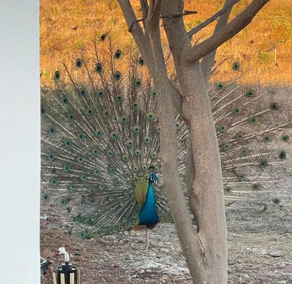 بنگله خانوادگی, Bungalow Ballena C/vistas Increíbles Al Océano Pacífico