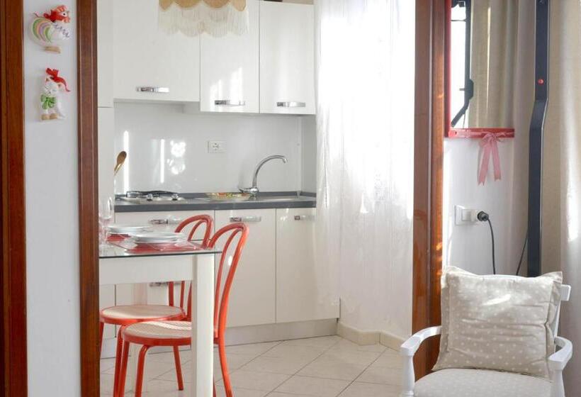 استودیوی استاندارد, La Mimosa 2