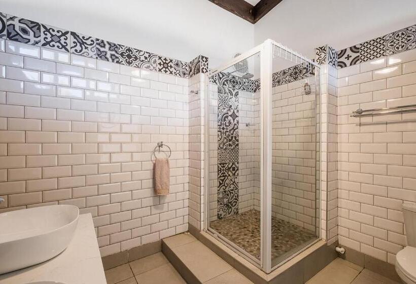 آپارتمان 1 خوابه با چشم‌انداز باغ, Alte Villa Boutique
