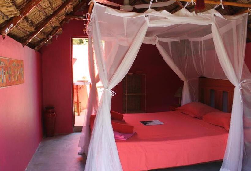بانگلوی استاندارد, Casa Jules