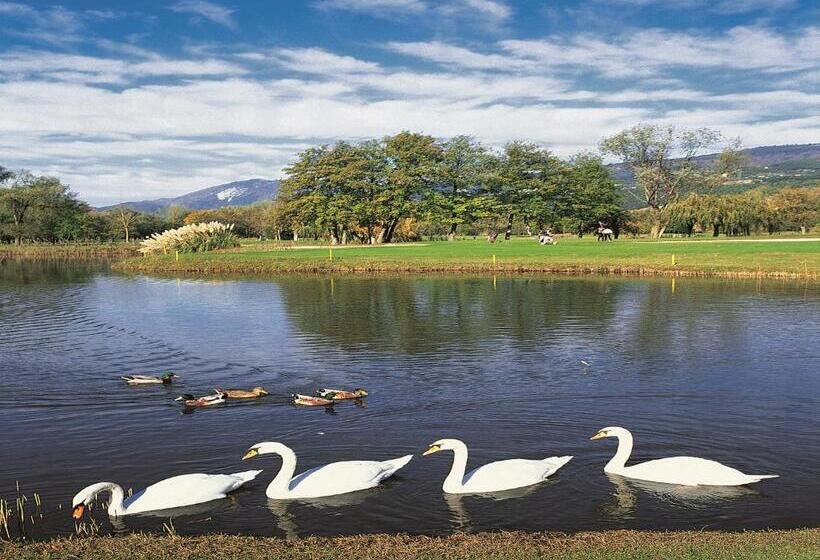 اتاق سوپریور با چشم‌انداز کوهستان, Versilia Golf Resort