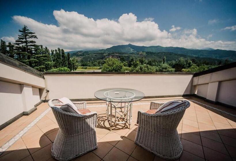 اتاق سوپریور با چشم‌انداز کوهستان, Versilia Golf Resort