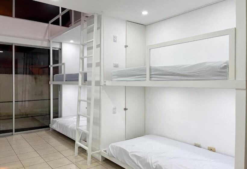 تختخواب در اتاق مشترک, Sjo Oasis Hostel