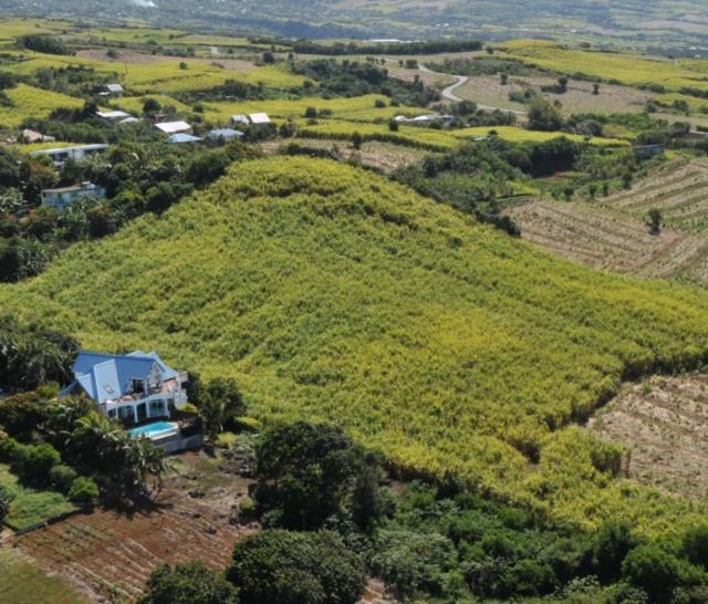 اتاق استاندارد با چشم‌انداز دریا, La Plantation