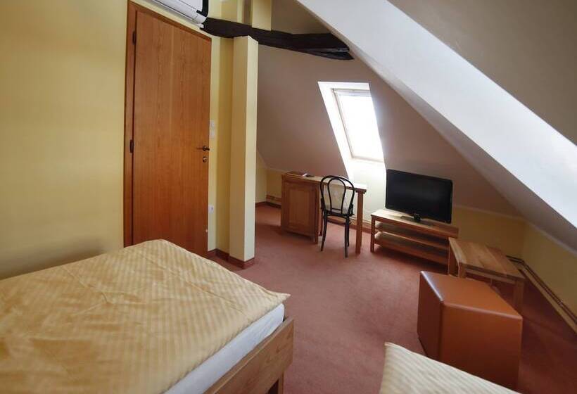اتاق استاندارد با چشم‌انداز شهر, Bed & Breakfast šilak