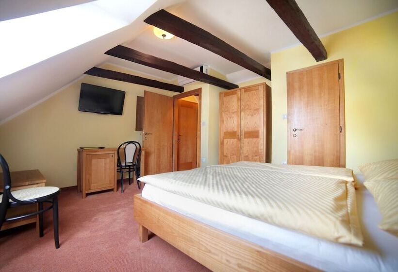اتاق استاندارد با چشم‌انداز شهر, Bed & Breakfast šilak