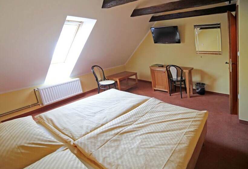 اتاق استاندارد با چشم‌انداز شهر, Bed & Breakfast šilak