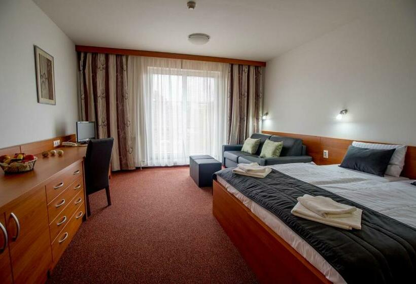 اتاق استاندارد چهار تخته, Wellness Hotel Thermal