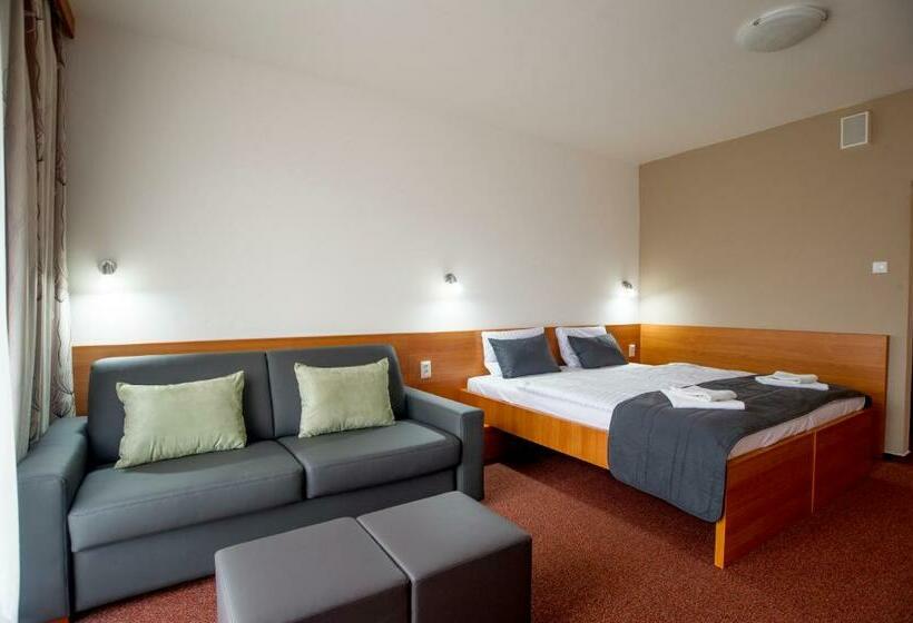 اتاق استاندارد چهار تخته, Wellness Hotel Thermal