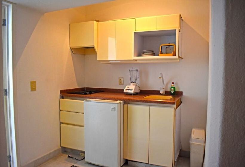 استودیو لوکس با چشم‌انداز دریا, Aca Suites Ixtapa