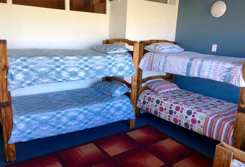 سرير فى غرفة مشتركه, Hermanus Backpackers & Budget Accommodation