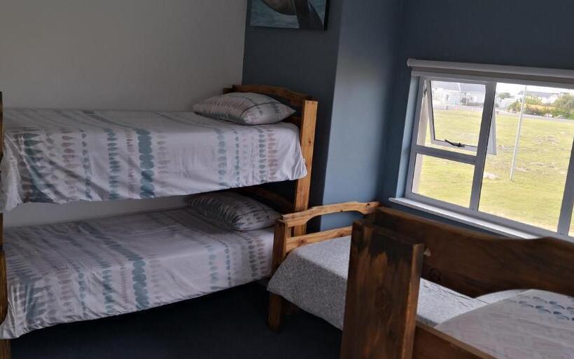 تختخواب در اتاق مشترک, Hermanus Backpackers & Budget Accommodation