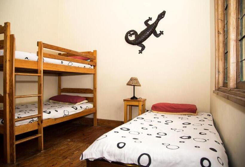 اتاق استاندارد چهارنفره با سرویس بهداشتی مشترک, Jikeleza Lodge