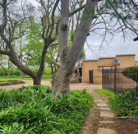 استودیو خانوادگی, Casa Mia Health Spa And Guesthouse
