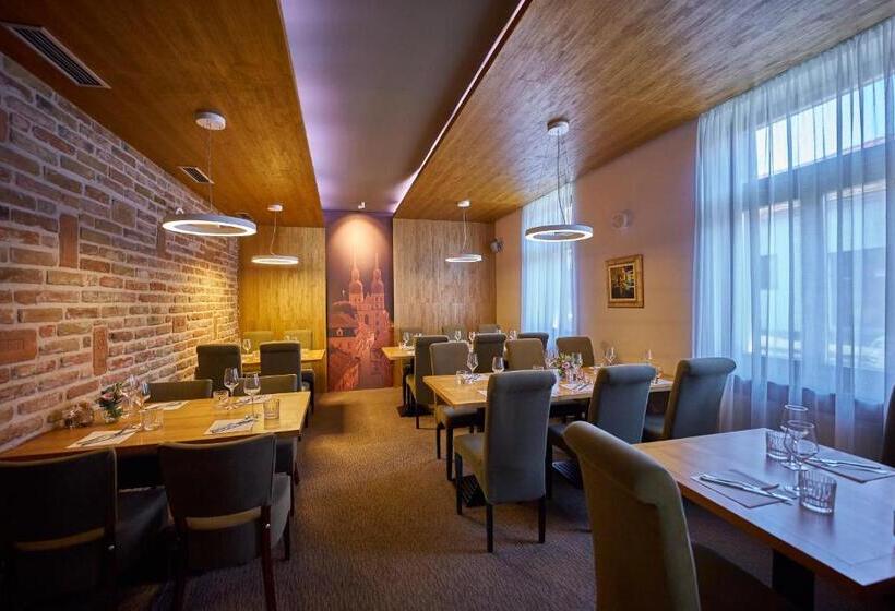 اتاق کلاس بیزنس, Pension & Restaurant Patriot Trnava