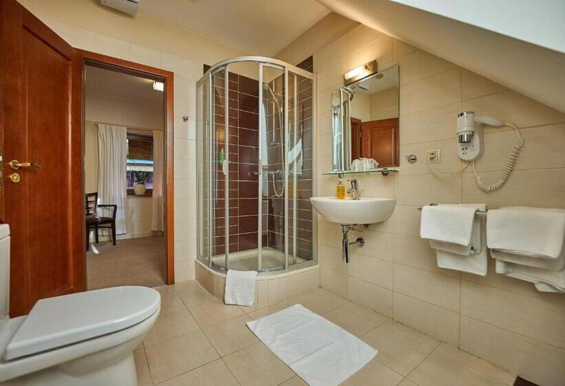 اتاق کلاس بیزنس, Pension & Restaurant Patriot Trnava