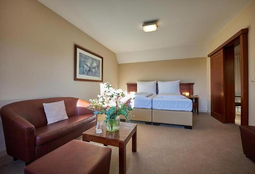 اتاق کلاس بیزنس, Pension & Restaurant Patriot Trnava