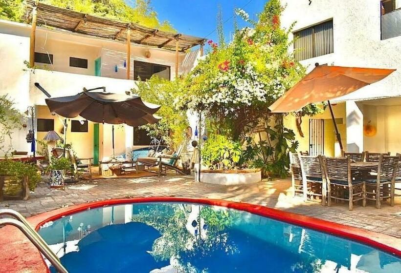 اتاق استاندارد با تخت بزرگ, Baja Bed And Breakfast