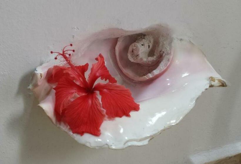 بانگلوی لوکس, Pacha Tulum
