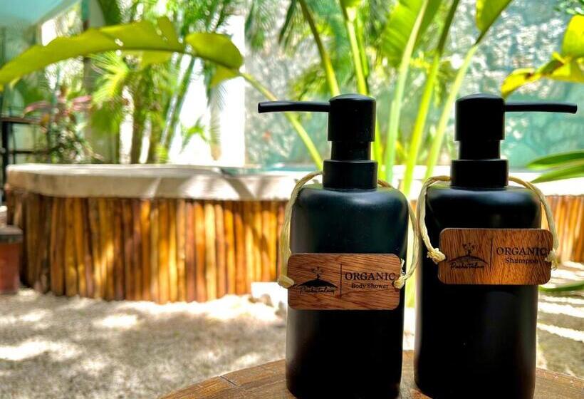 اتاق لوکس, Pacha Tulum