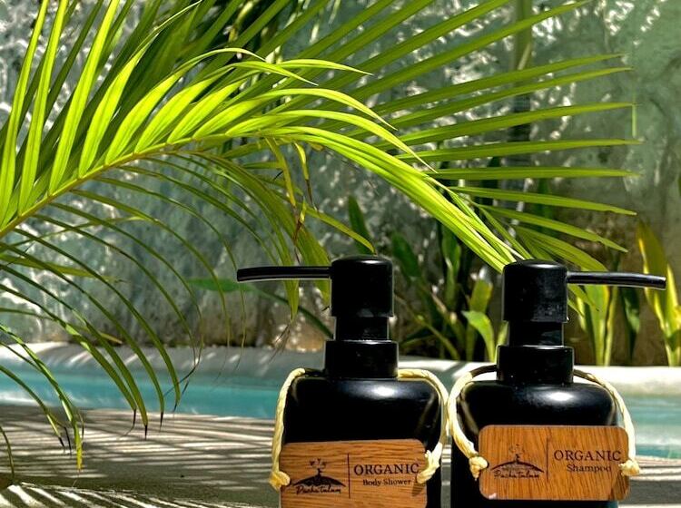 بانگلوی لوکس, Pacha Tulum