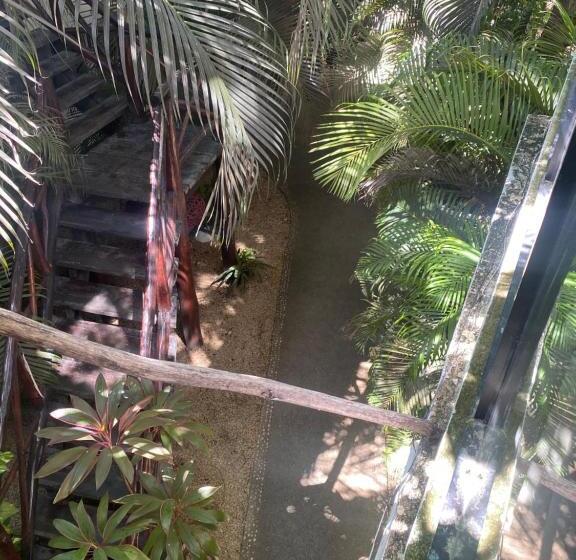 سوئیت پرزیدنت, Pacha Tulum