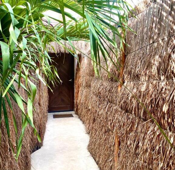 سوئیت پرزیدنت, Pacha Tulum