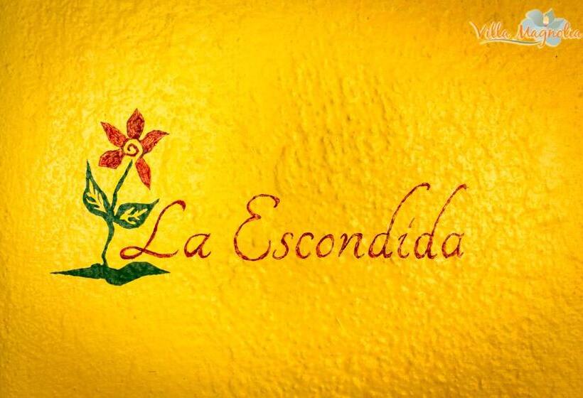 اتاق استاندارد با چشم‌انداز استخر, Casa Villa Magnolia