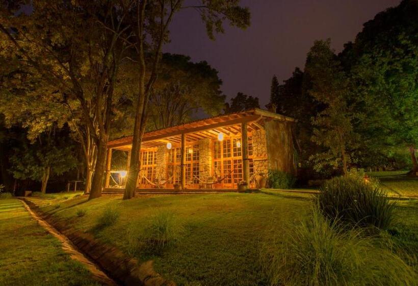 سوییت, Rancho San Cayetano