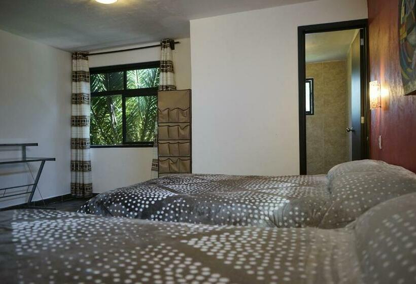 اتاق استاندارد, Telpochcalli Hotel & Temazcal